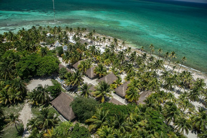 About Mexican  Bonefish Academy